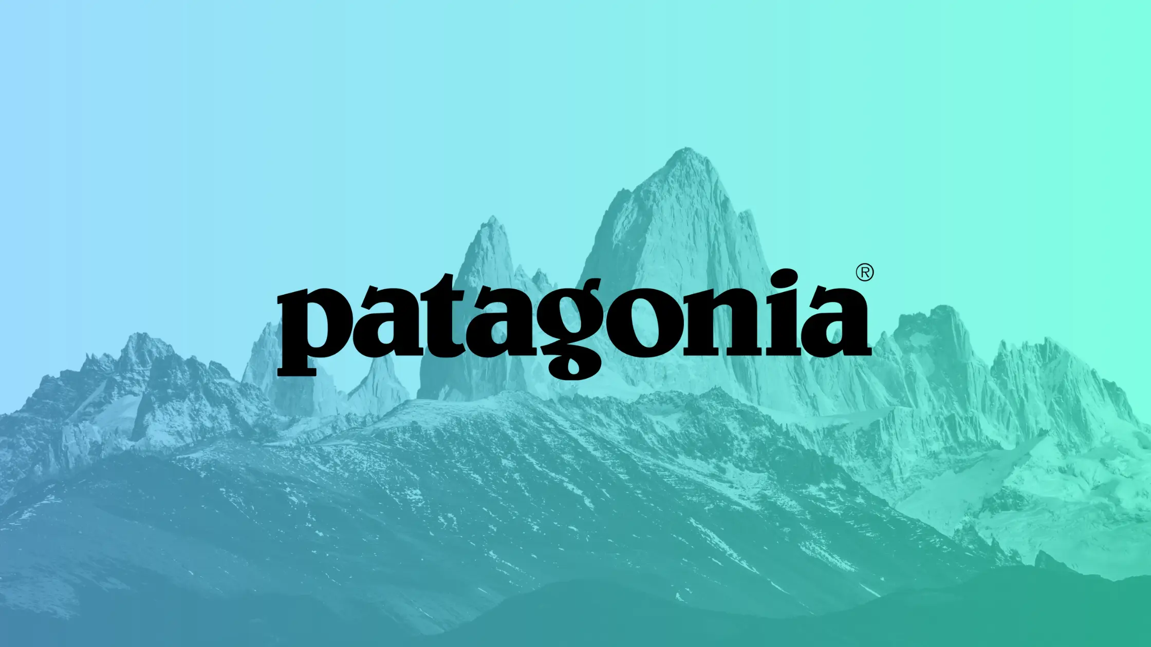 Patagonia business case study showing outdoor clothing company's environmental mission and sustainable business practices with founder Yvon Chouinard