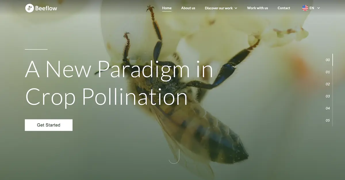 Beeflow hero image