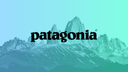 Patagonia: Impact Business Case Study