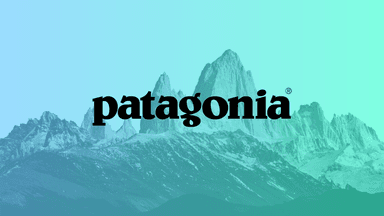 Patagonia business case study showing outdoor clothing company's environmental mission and sustainable business practices with founder Yvon Chouinard