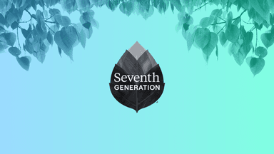 Seventh Generation business case study showing the company's journey from sustainable startup to major consumer goods brand acquisition