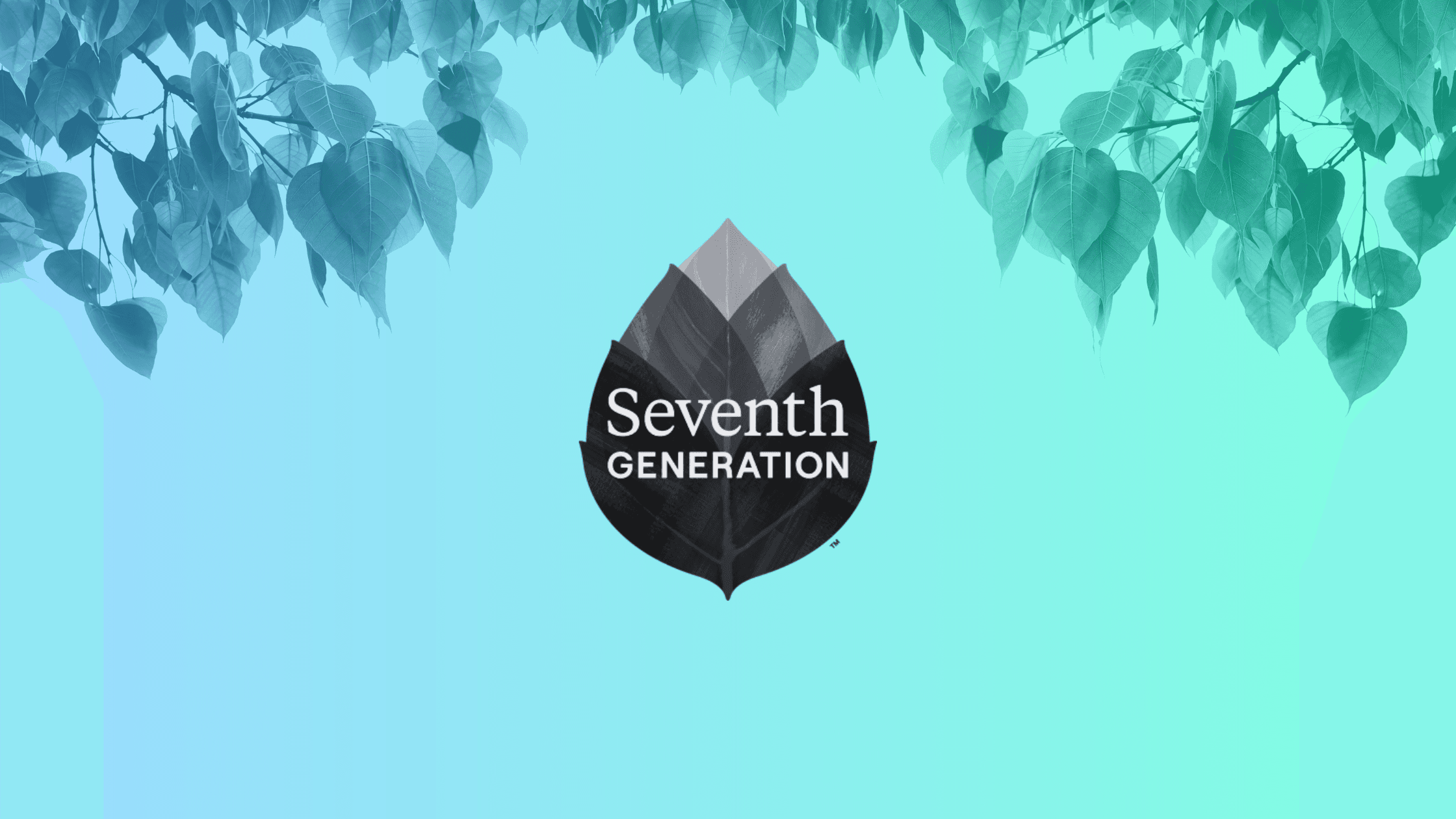 Seventh Generation business case study showing the company's journey from sustainable startup to major consumer goods brand acquisition