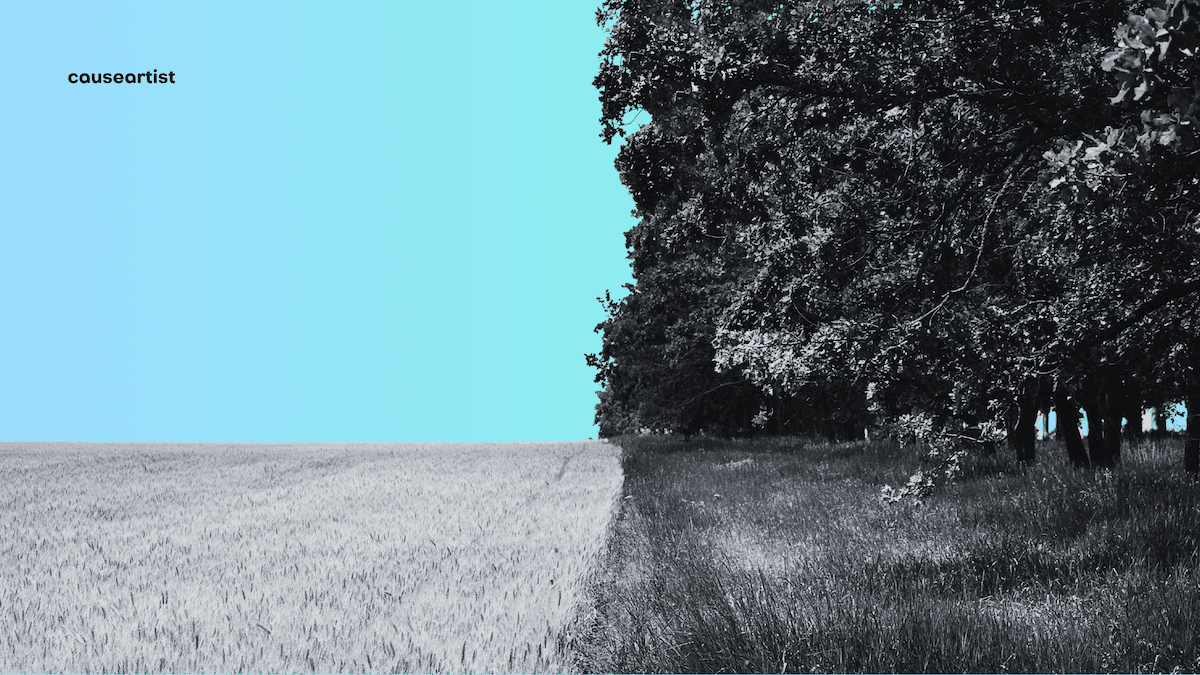 Causeartist Weekly #291 - Regenerative Ag, Compact EVs, and $225M+ in Climate & Education Funding