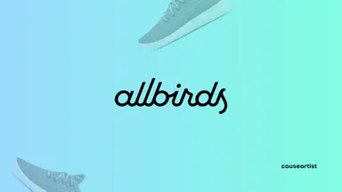 Allbirds sustainable sneakers and company founders Tim Brown and Joey Zwillinger, representing the eco-friendly footwear brand's rise and challenges