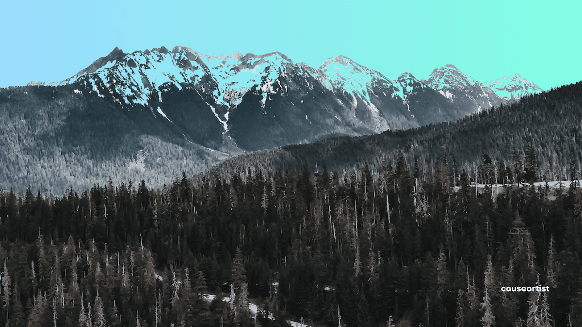 Causeartist Weekly #299: Catalytic Capital, Climate Innovation, and This Week’s Top Impact News