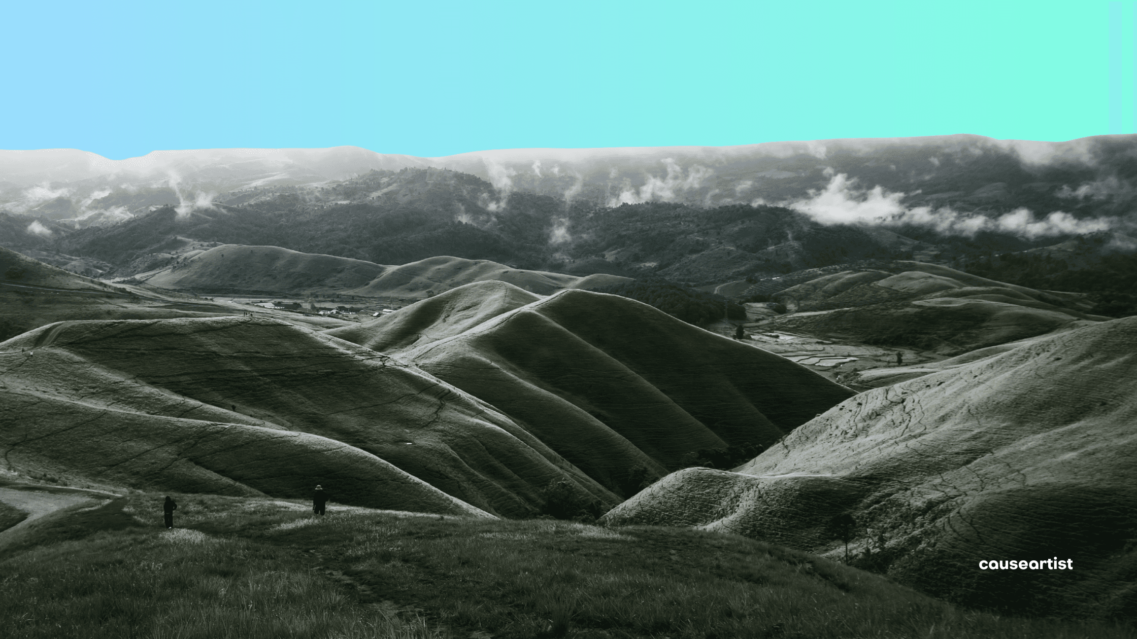 Causeartist Weekly #301: Turning Environmental Law into Assets & Battery Recycling Startups