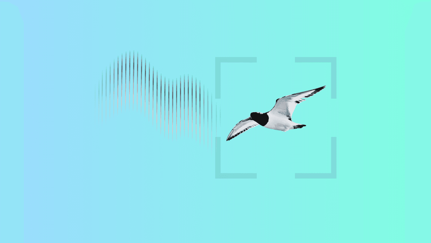 Causeartist Weekly #313: AI "Talking" to Wildlife 🦒 + Building a Home in 30 Days