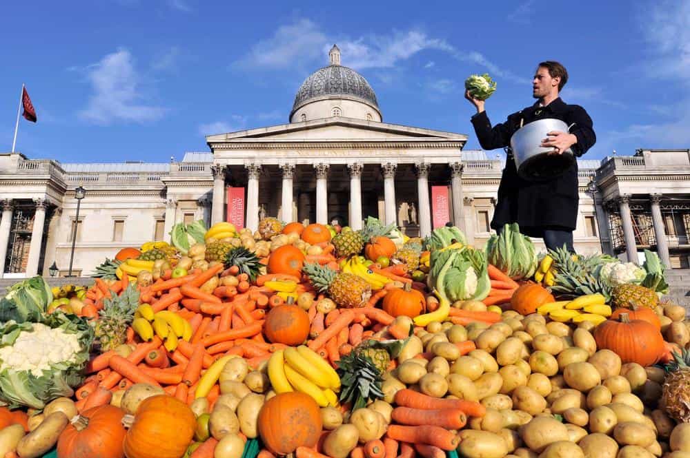 Reduce Your Food Waste With These 5 Easy and Practical Ways