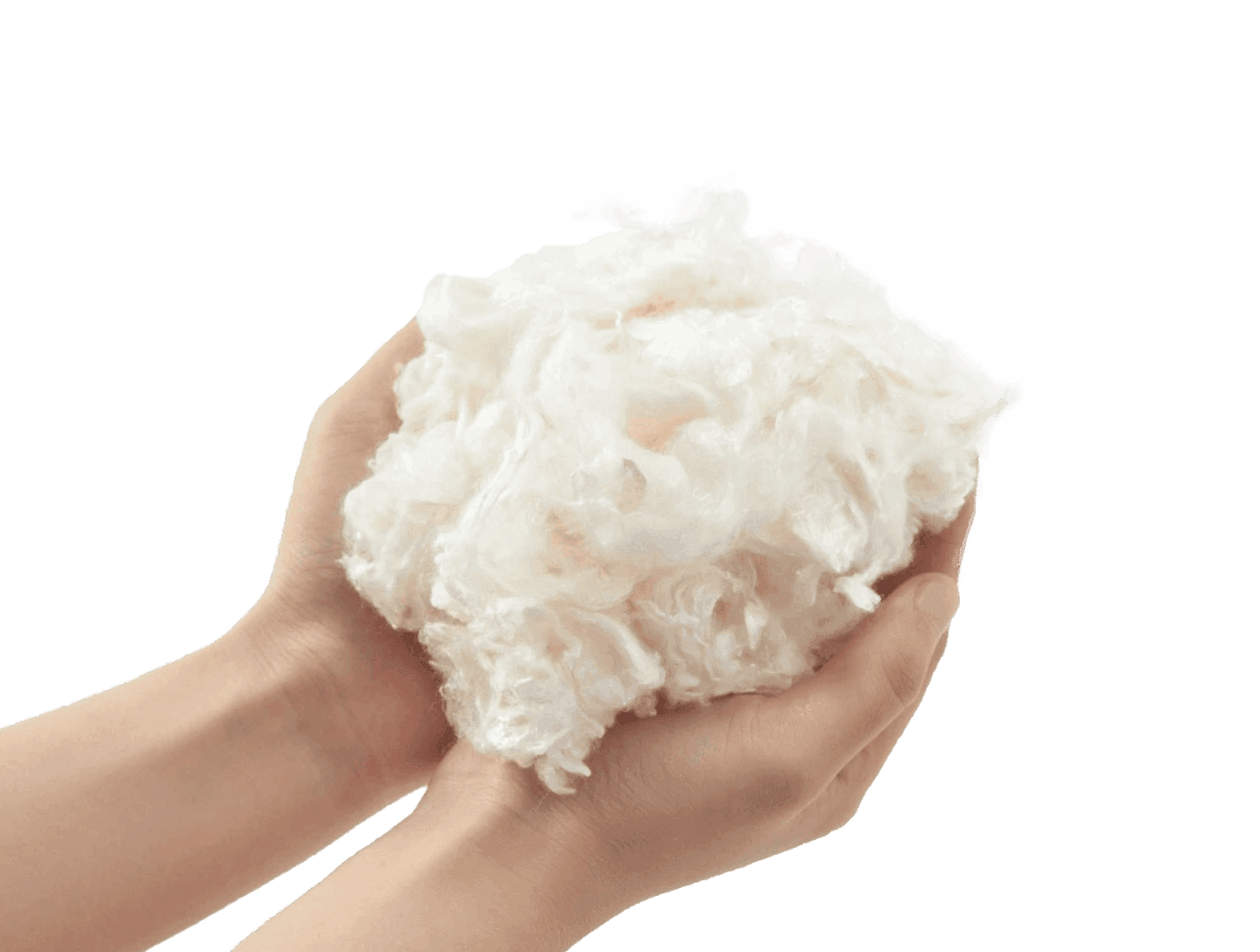 Mi Terro Turns Milk Waste Into Protein Fiber for Sustainable Clothing