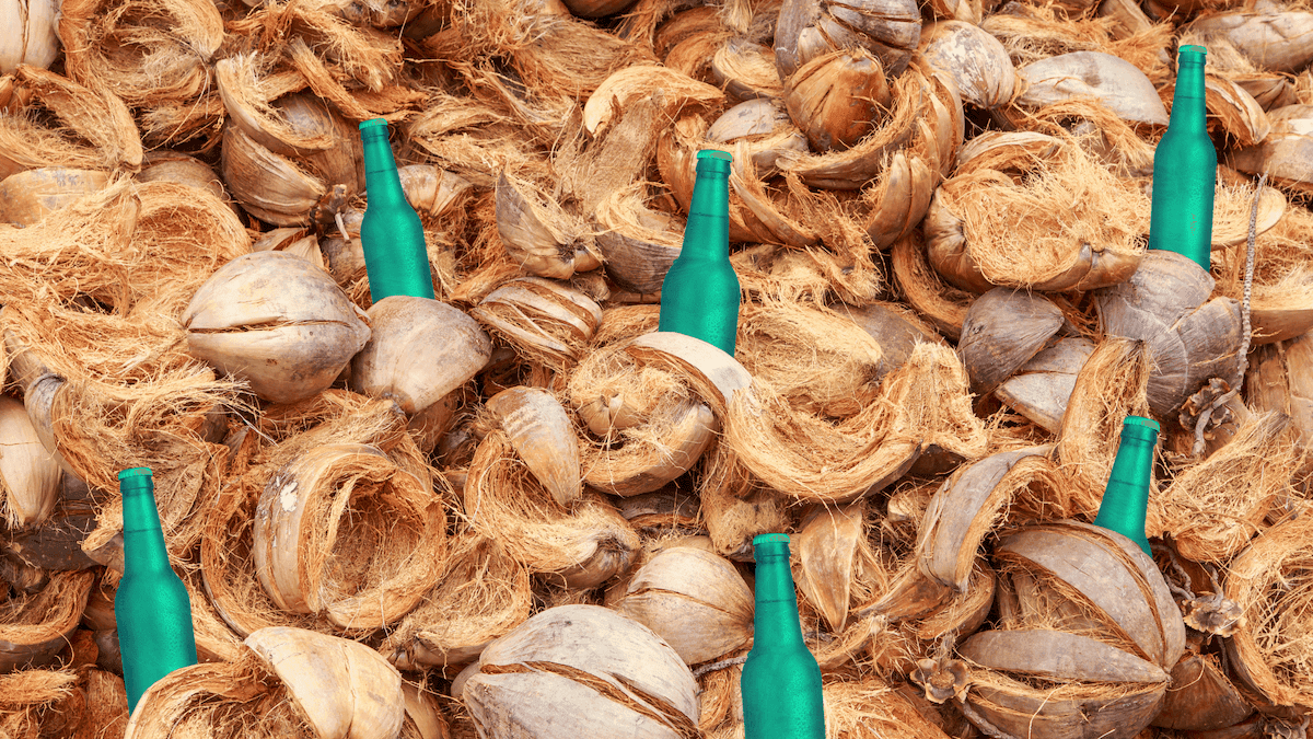 The Nutshell Sustainable Cooler is Leading the Transition From Plastic Foam to Natural Fiber Packaging