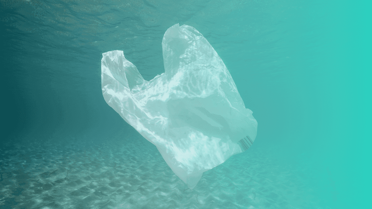 Greenhope is Redesigning the Future of Plastic Through Biodegradable Plastic Technologies