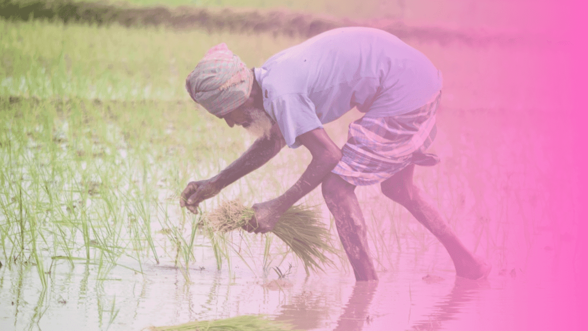 iFarmer is Building a Super App for Millions of Small-Scale Farmers and Investors