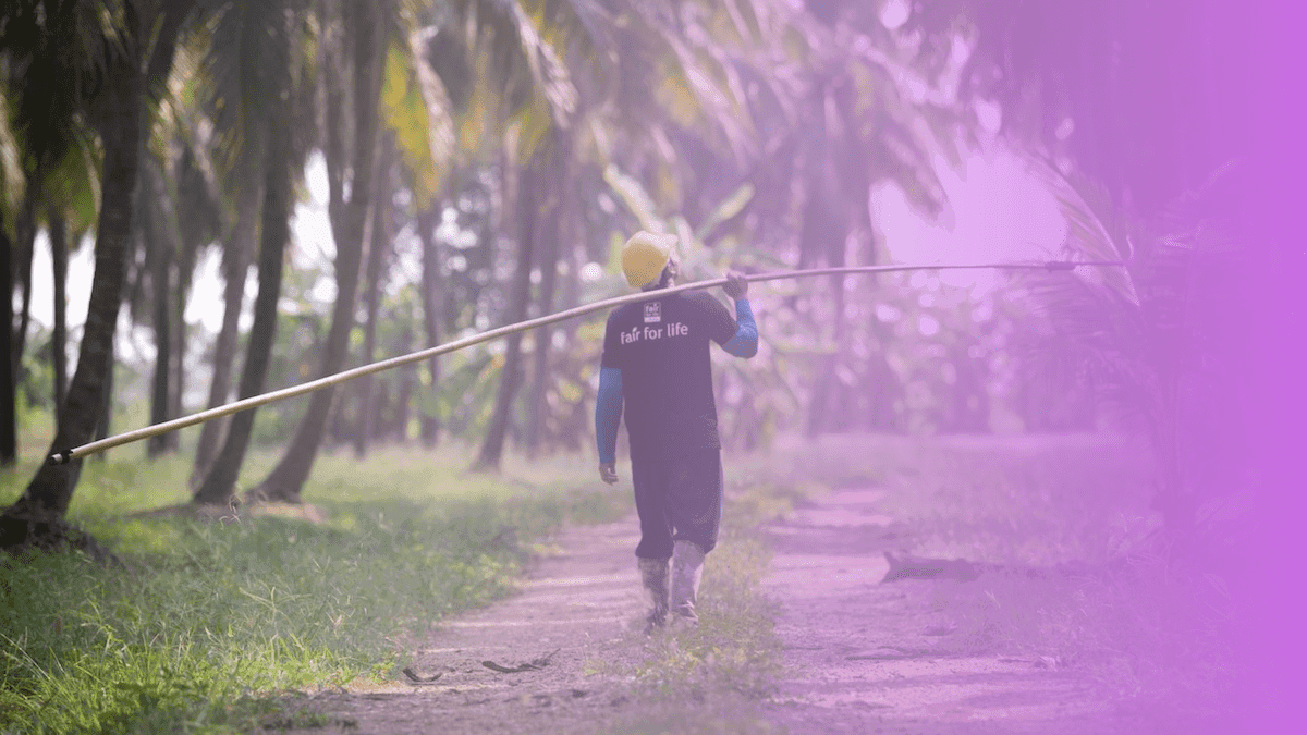 Harmless Harvest CEO Ben Mand on Regenerative Farming, Ethical Supply Chains, and Future of Plastic Bottles