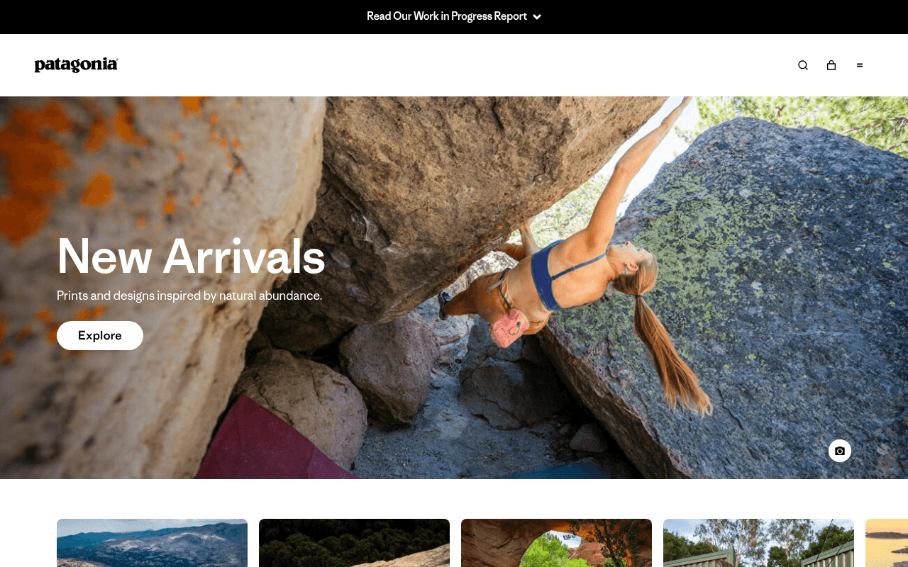 Patagonia preview