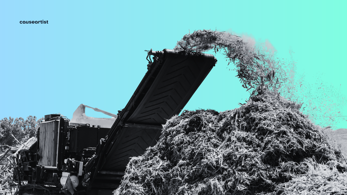 8 Startups Turning Agricultural Waste into Clean Energy