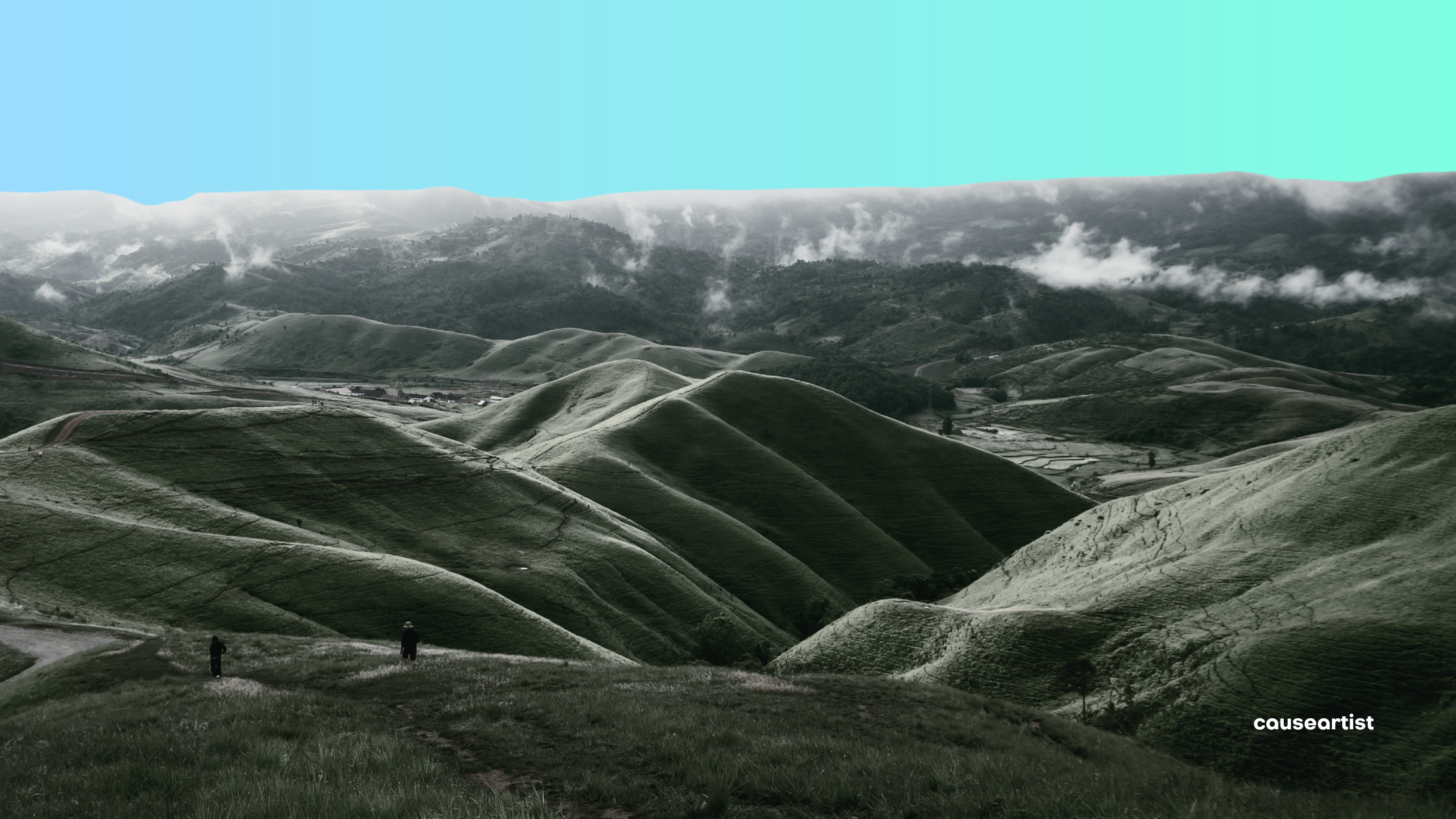 Causeartist Weekly #301: Turning Environmental Law into Assets & Battery Recycling Startups