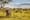 tanzania_safaries_ecotravel
