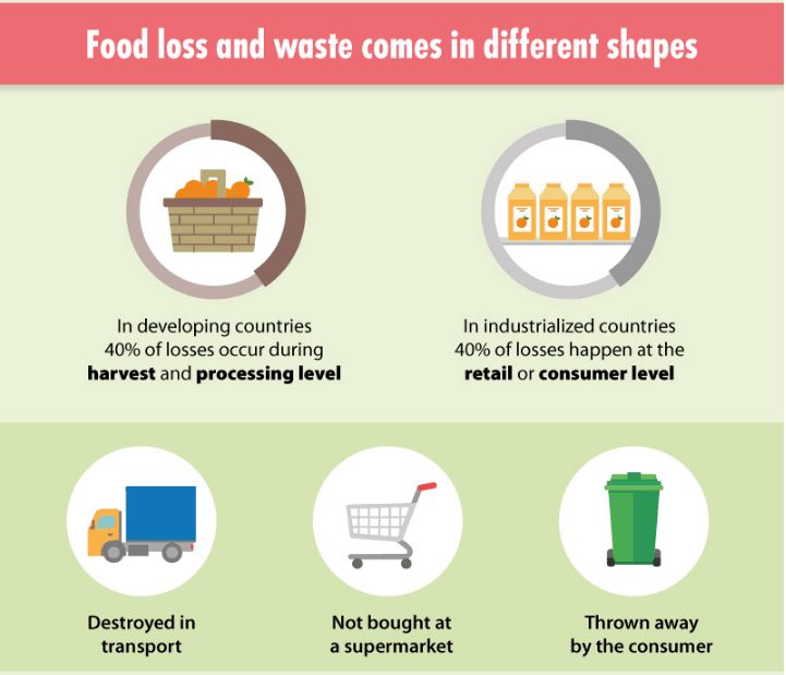 5 Easy & Practical Ways To Reduce Your Food Waste