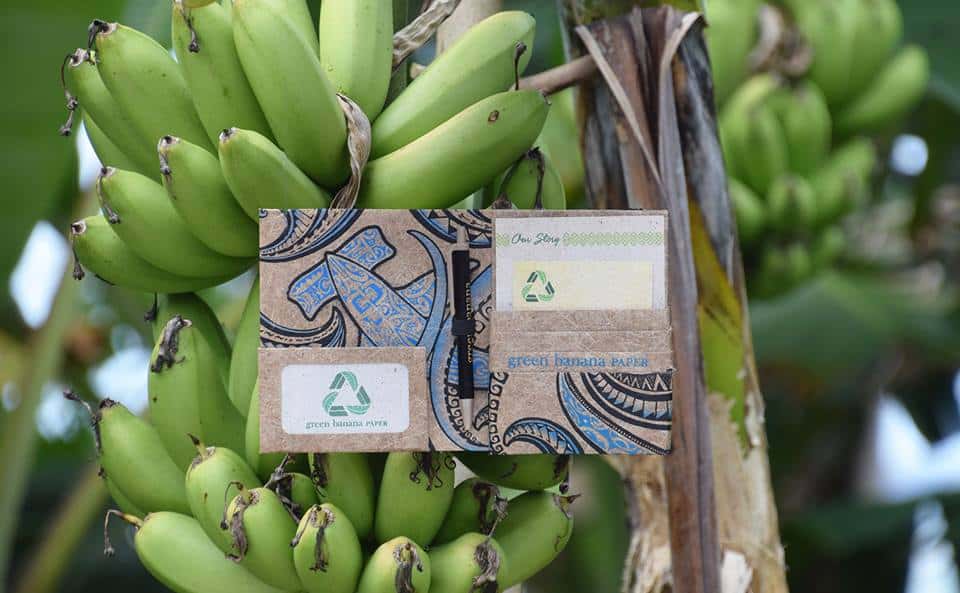 This Social Entrepreneur Created A Vegan Wallets Brand From One Of The Most Remote Islands In The World
