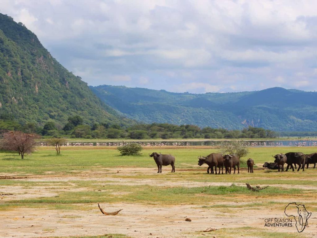 Off Season Adventures_trip_tanzania