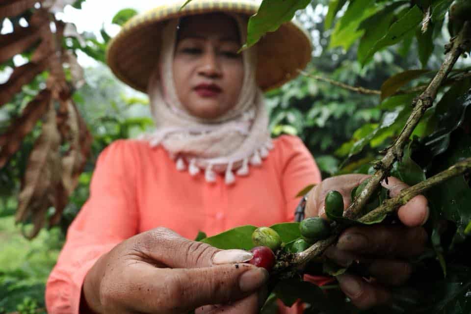 Food For Good: 4 Social Enterprises That Are Transforming The Food And Beverage Industry In South East Asia