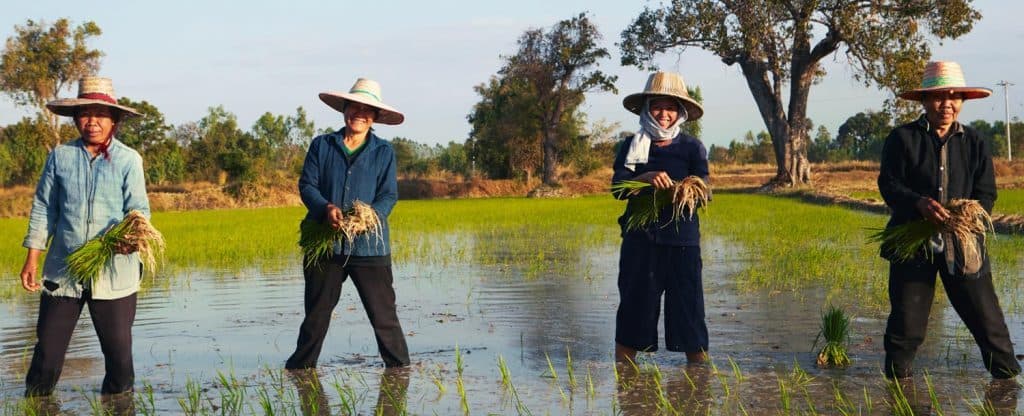 Food For Good: 4 Social Enterprises That Are Transforming The Food And Beverage Industry In South East Asia