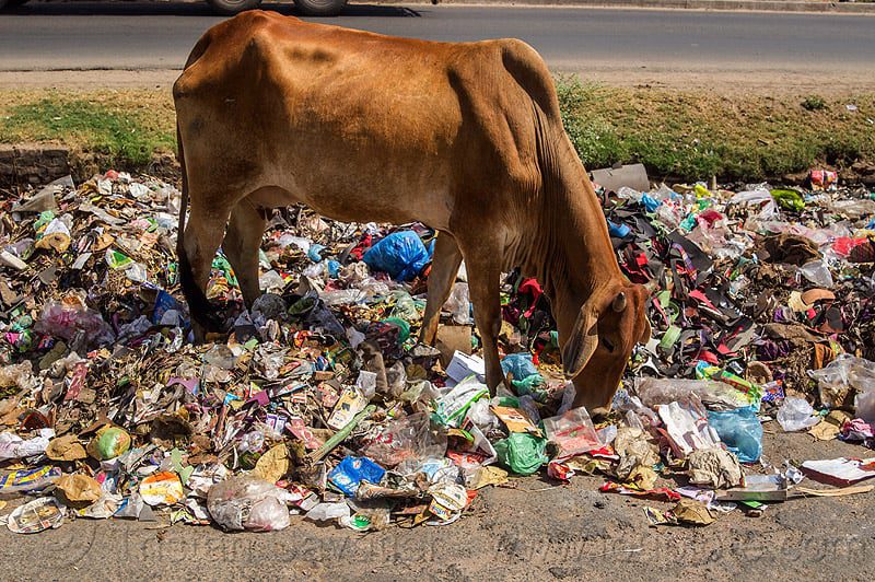 This Social Entrepreneur Empowers Marginalized Women to Fight India’s Plastic Crisis