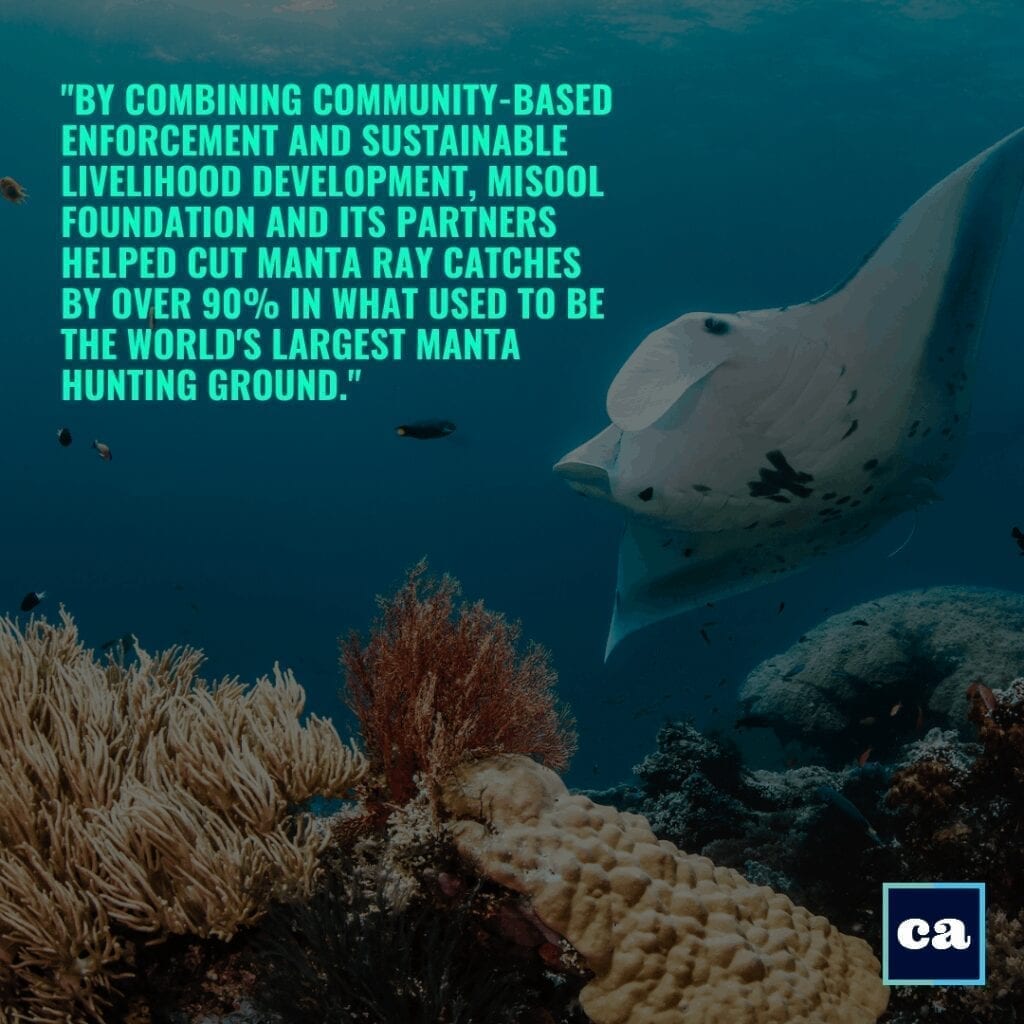 Sustainable Manta Ray fisheries