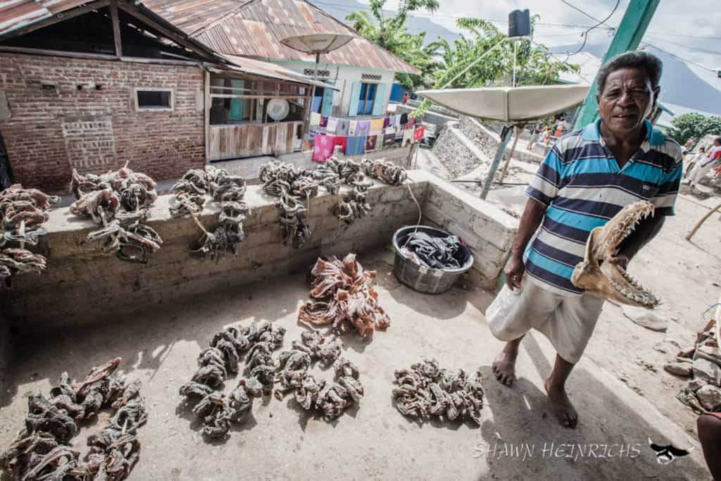 Transforming the World’s Largest Manta Ray Fishery Into a Marine Sanctuary