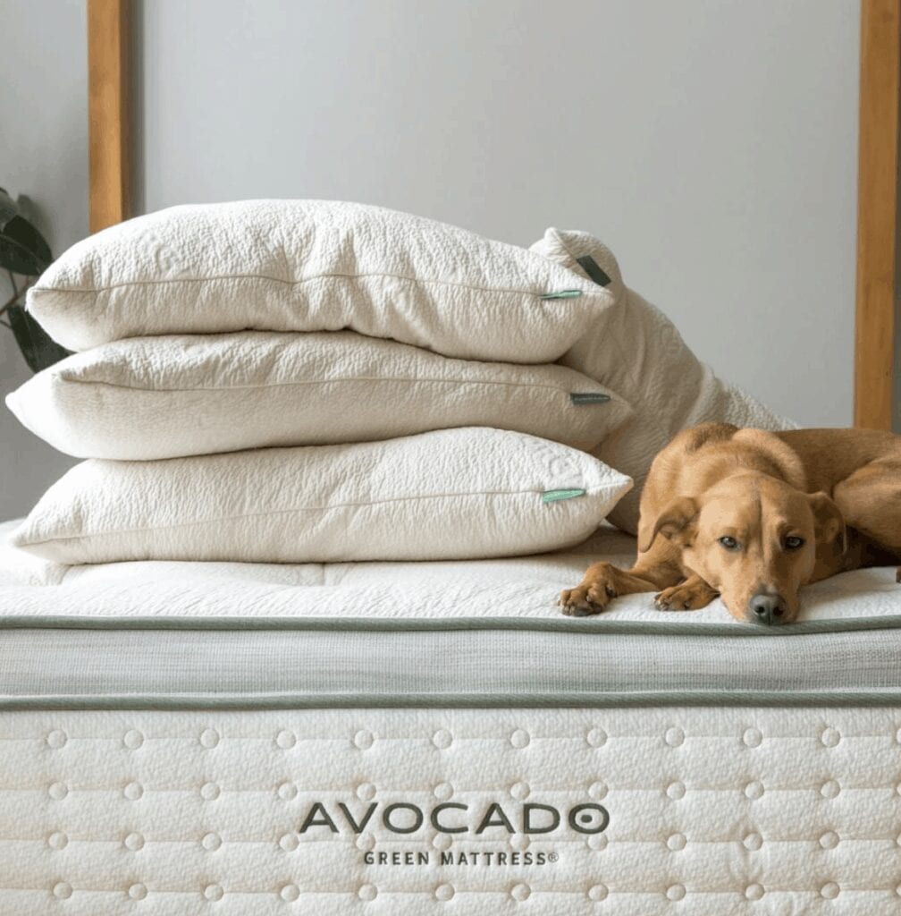 Avocado Green Mattress