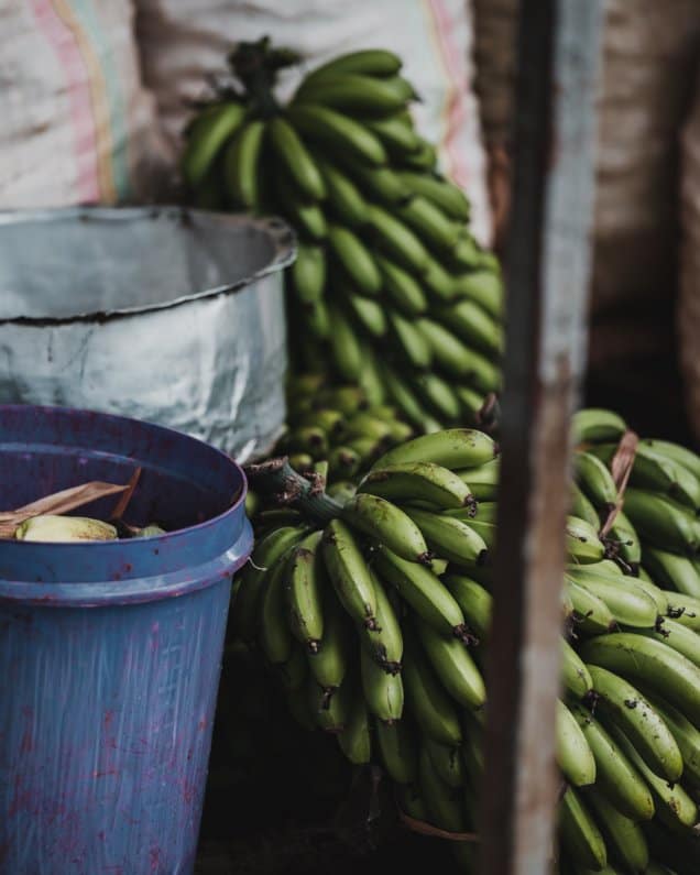 Meet the First Ever Food Forest in Rwanda and the Impact it Creates