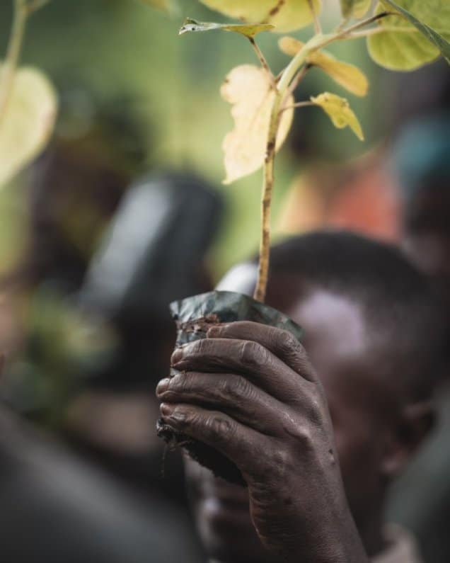 Meet the First Ever Food Forest in Rwanda and the Impact it Creates