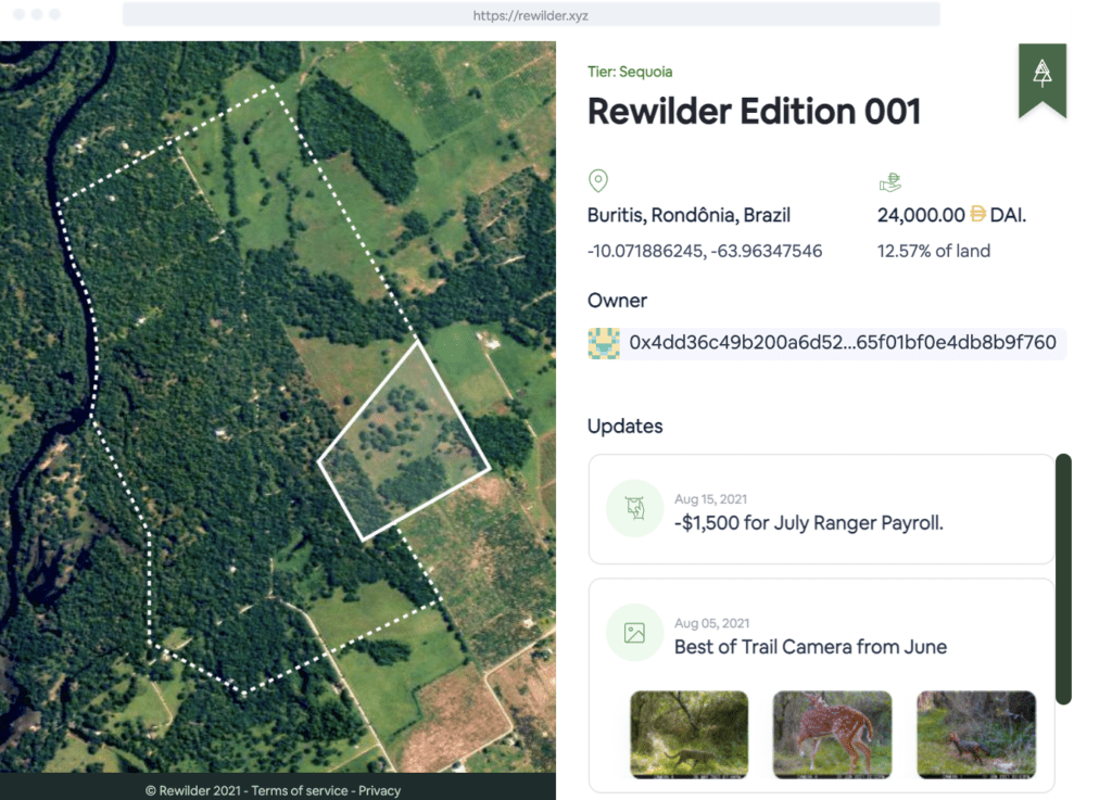 Rewilder - Ventures at the Intersection of Climate and Crypto