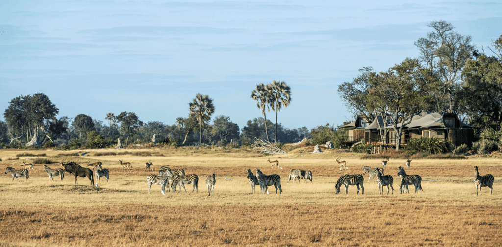 11 Beautiful Eco Resorts and Eco Lodging Destinations