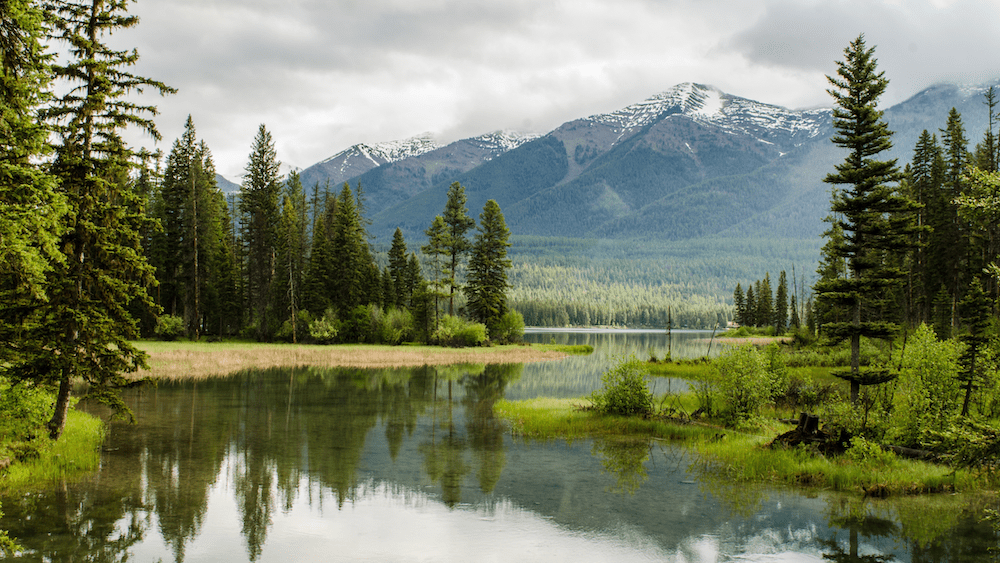 Biodiversity Freshwater Services and Watershed Protection