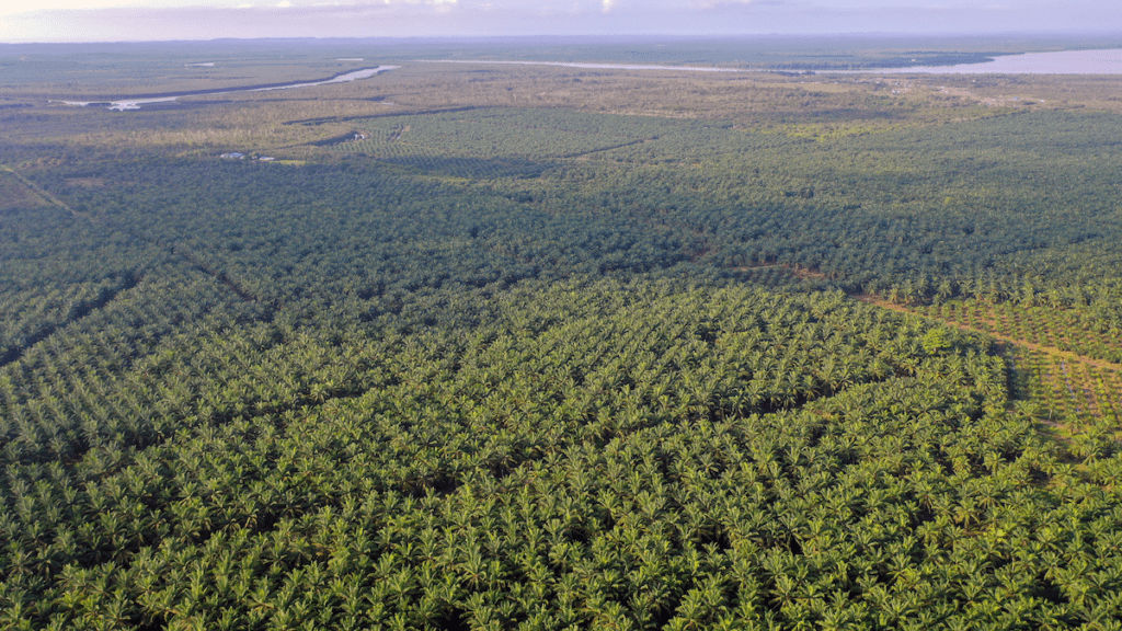 Key Principles of Agroforestry