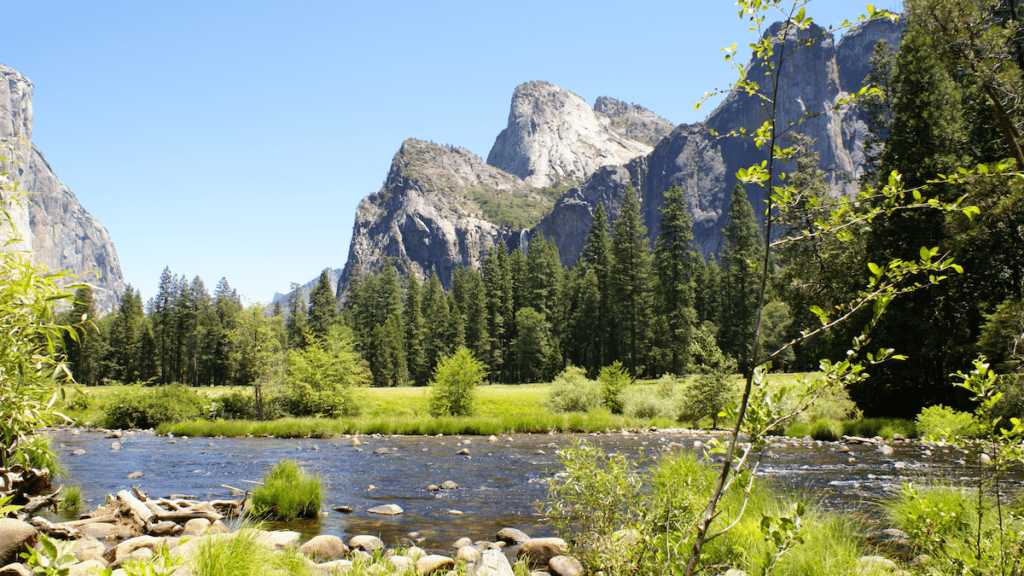 Examples of Ecosystem Services