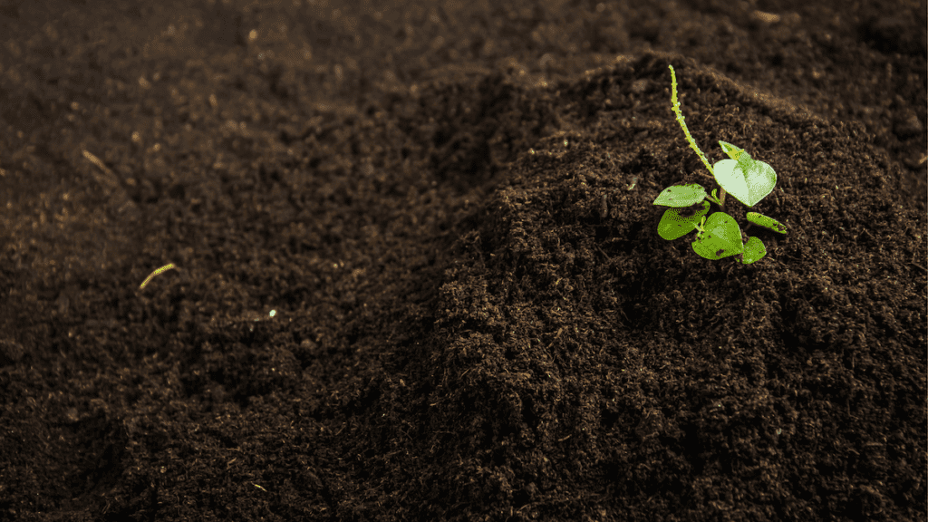 Benefits of Soil Conservation