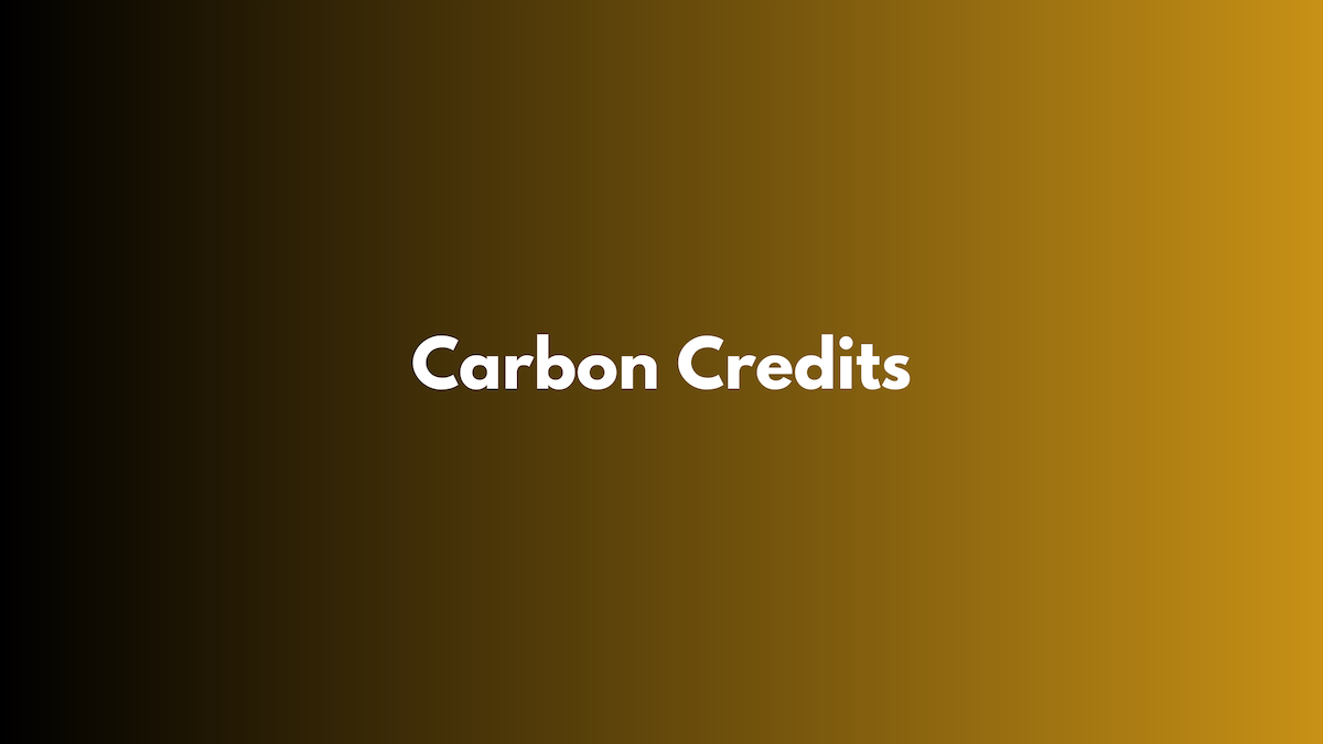 What is a Carbon Credit